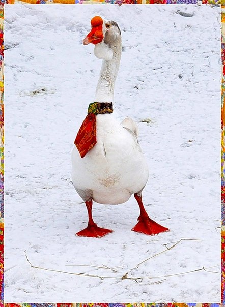 №119, Татьяна Хлебникова, Новосибирск, Россия №119, Татьяна Хлебникова, Новосибирск, Россия