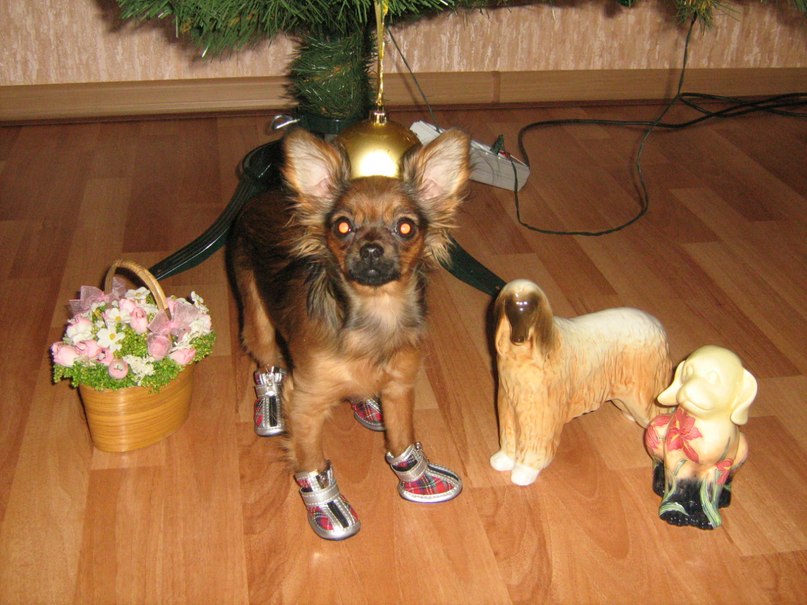 Юлия Маряшина | Ярославль