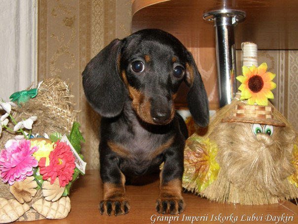 №135, Вера Иванова, Томск №135, Вера Иванова, Томск