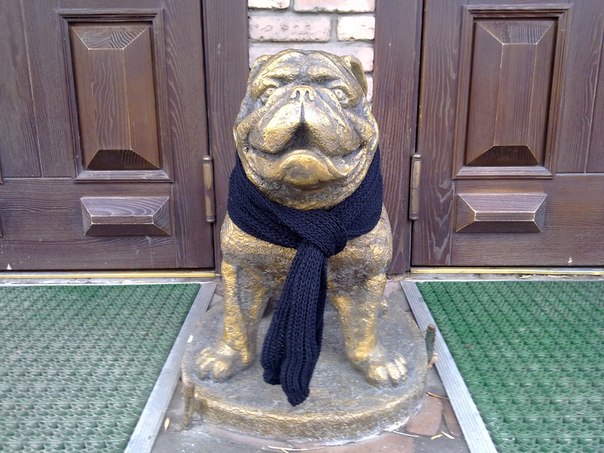 №24, Владимир Шовгеня, 38 лет, Новошахтинск №24, Владимир Шовгеня, 38 лет, Новошахтинск