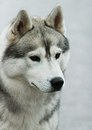 Фотография Пономаревой Екатерины