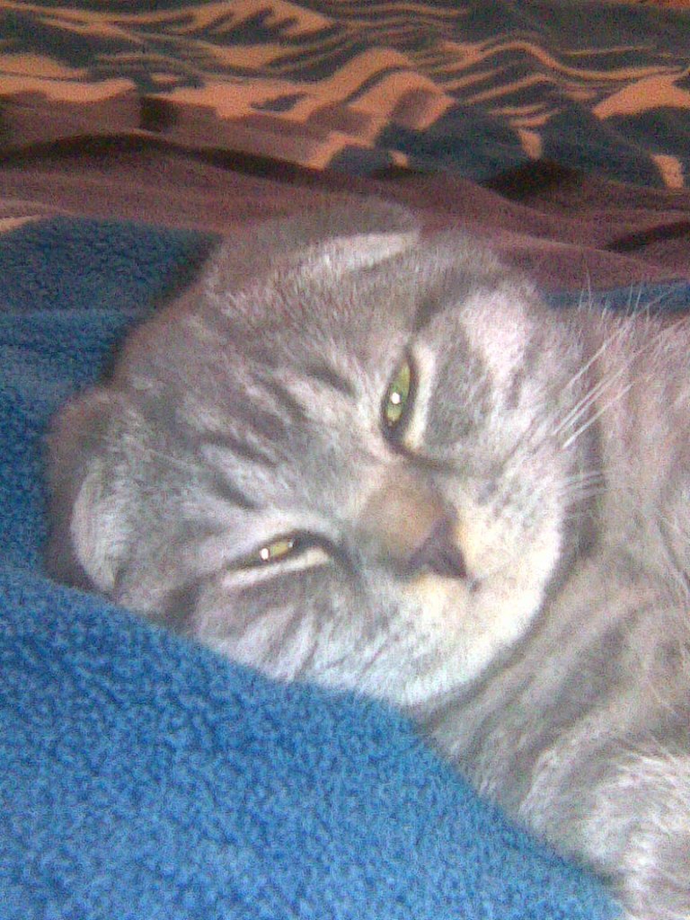 Галина Бызова | Жуковский