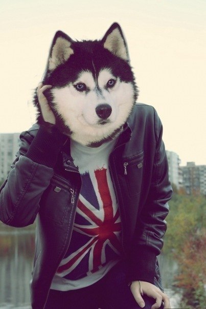 Александр Зайцев | Санкт-Петербург