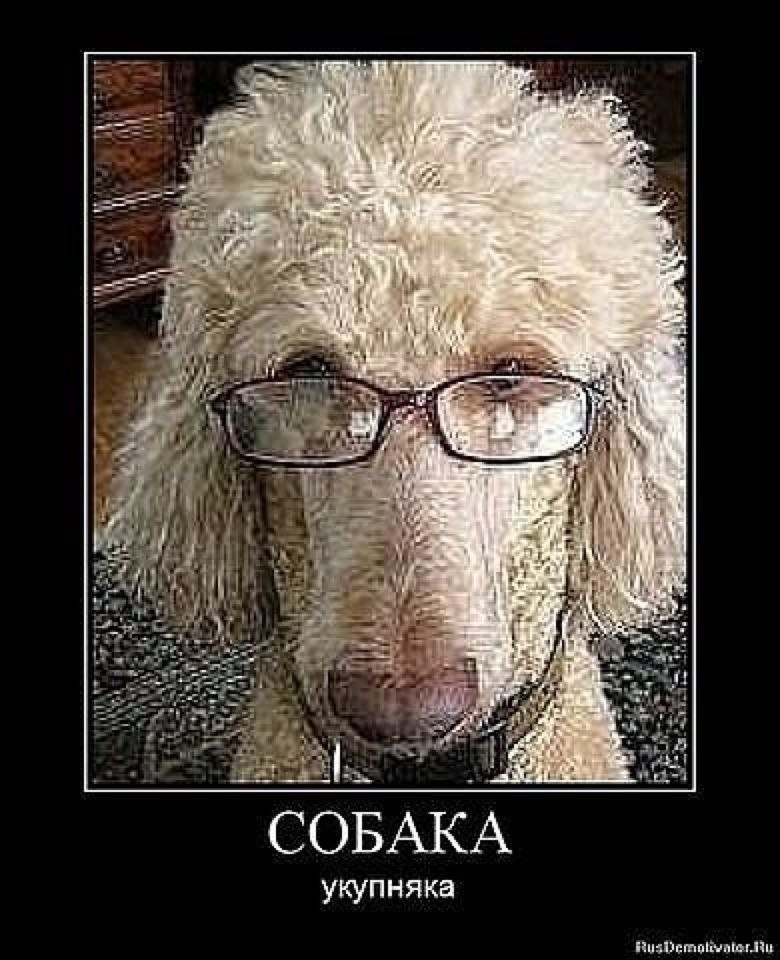 Сергей Мороз | Бузулук