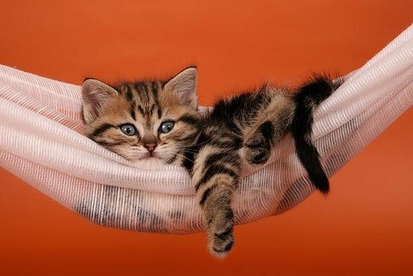 Юля Прокопец | Одесса