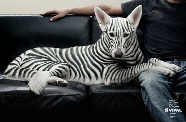 №51, Дмитрий Цыганов, 40 лет, Нижний Новгород №51, Дмитрий Цыганов, 40 лет, Нижний Новгород