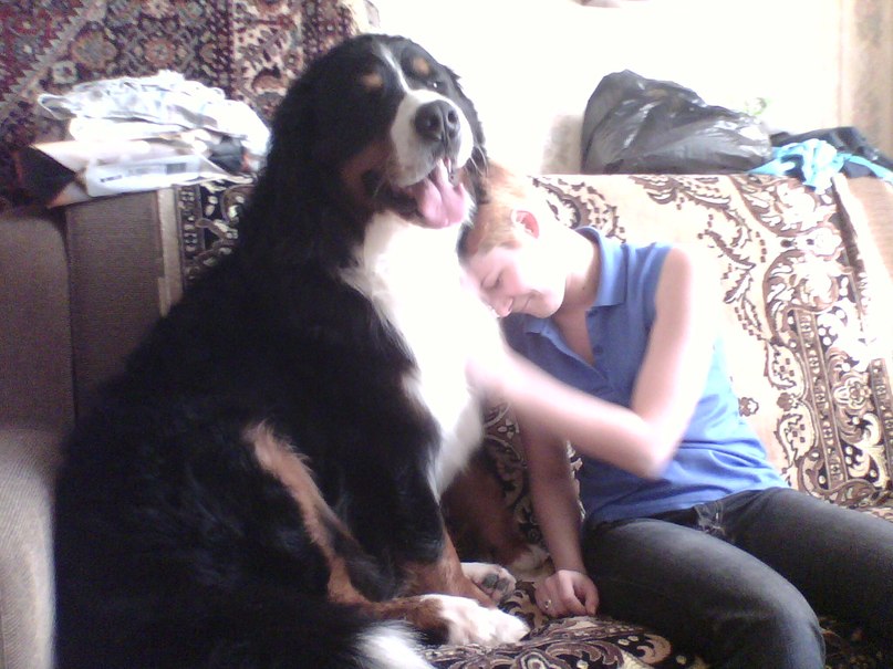 Нимфа Рыжая | Саров