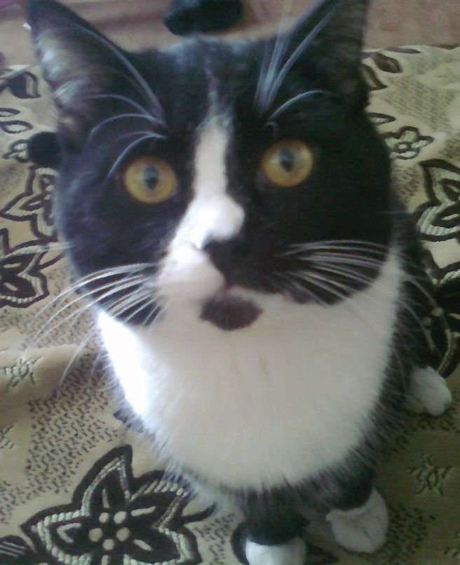 Валентина Любимцева | Москва