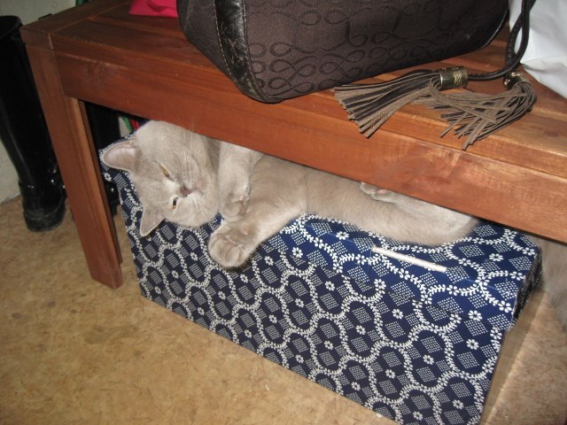 Aleks Serebr | Санкт-Петербург