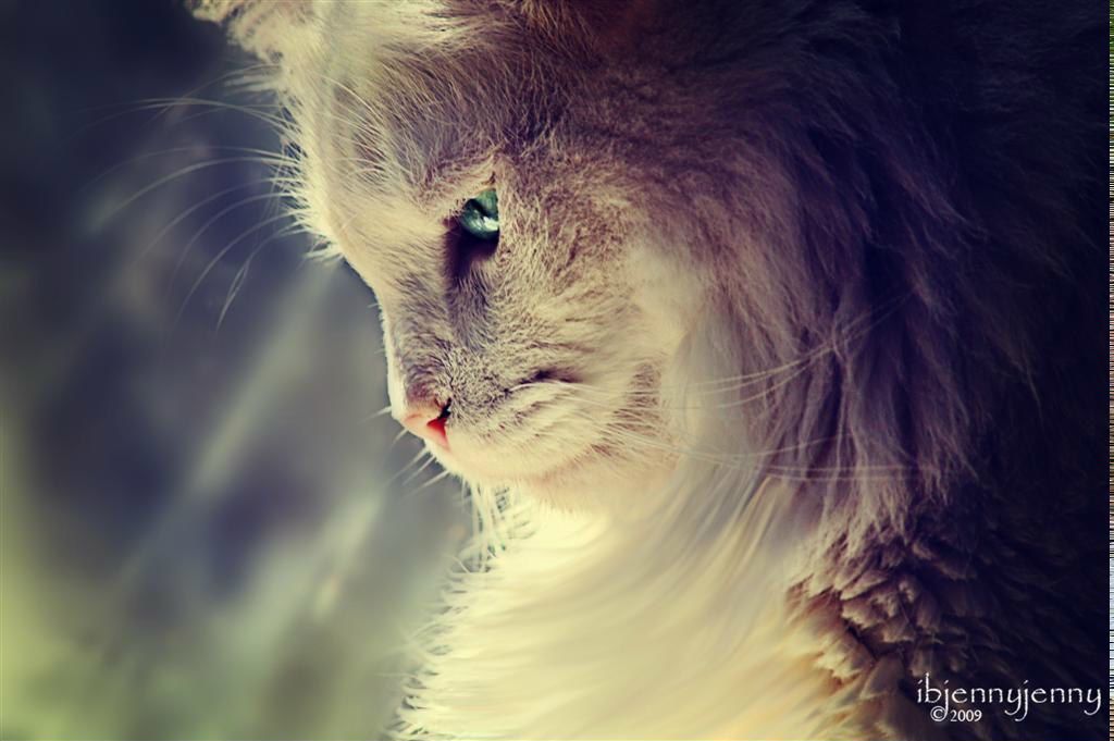 Алёна Юхимчук | Киев