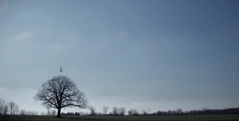 Мирослав Шавшуков | Москва