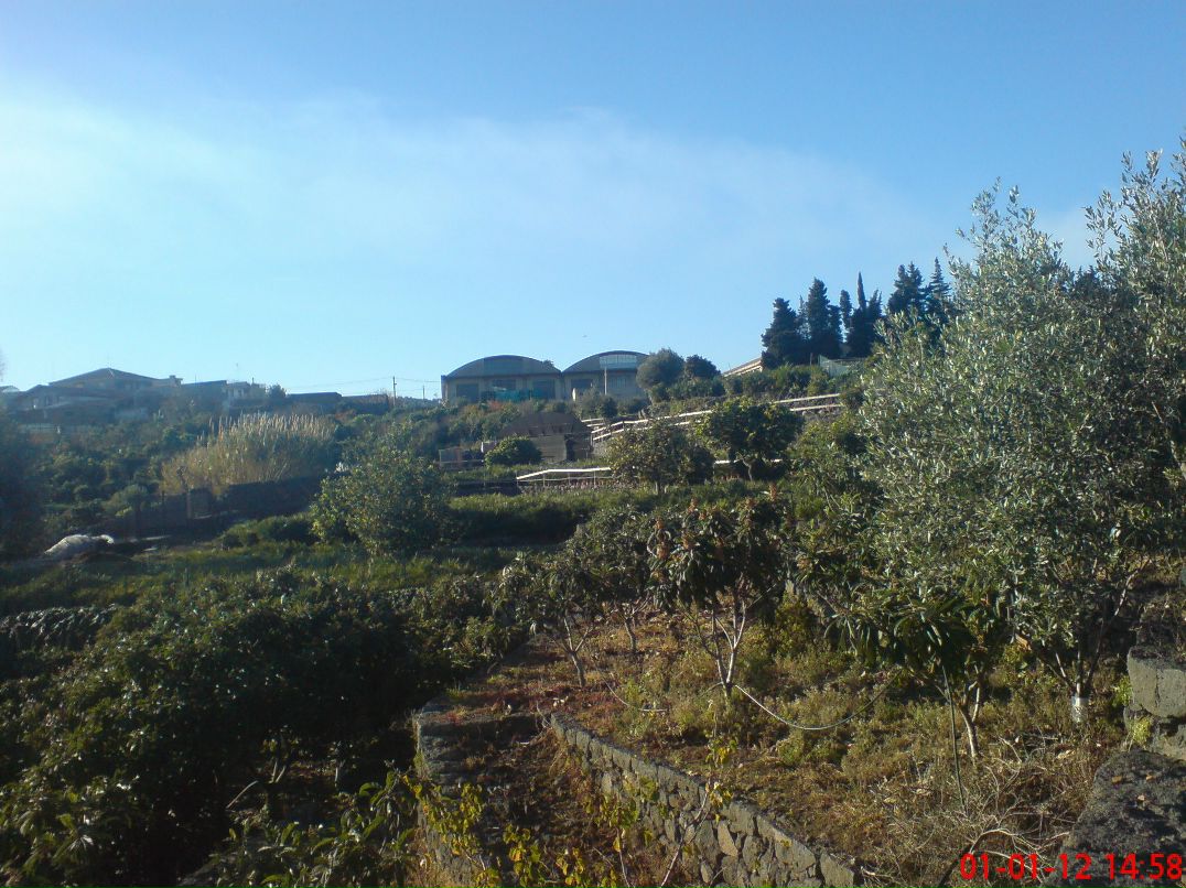 Наташа Дьячкова | Липецк