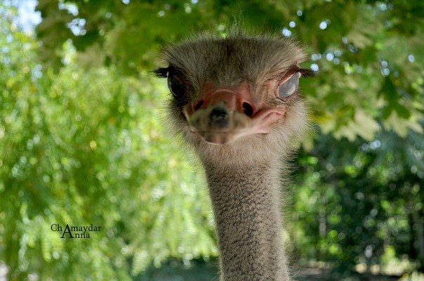 Вика Кокташ | Киев