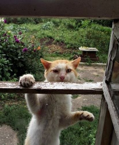 Иван Ковязин | Смоленск