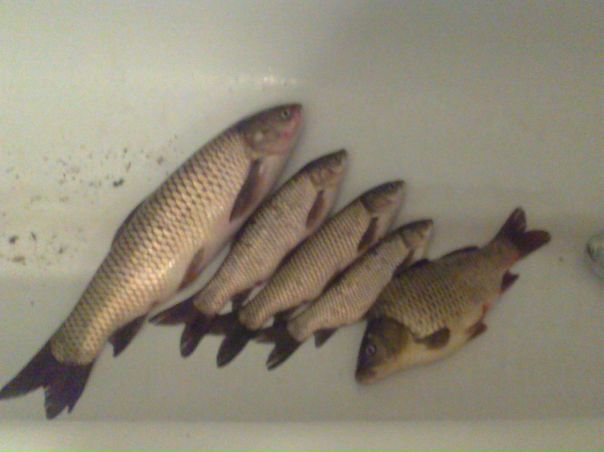 №30, Михаил Головнев, Ростов-на-Дону №30, Михаил Головнев, Ростов-на-Дону