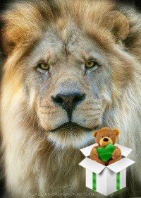 Svetlana Glijin ♥♥♥ | Кишинев