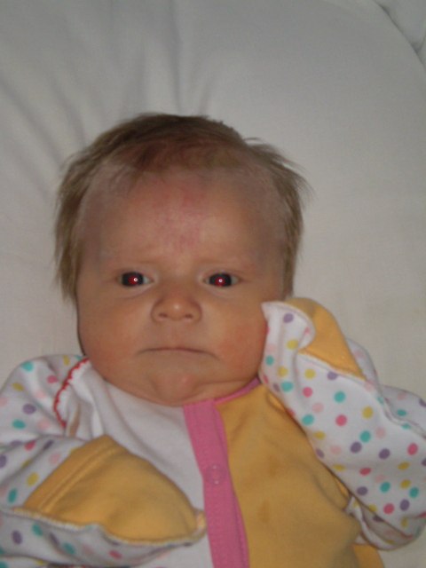 Дмитрий Вегера | Горловка