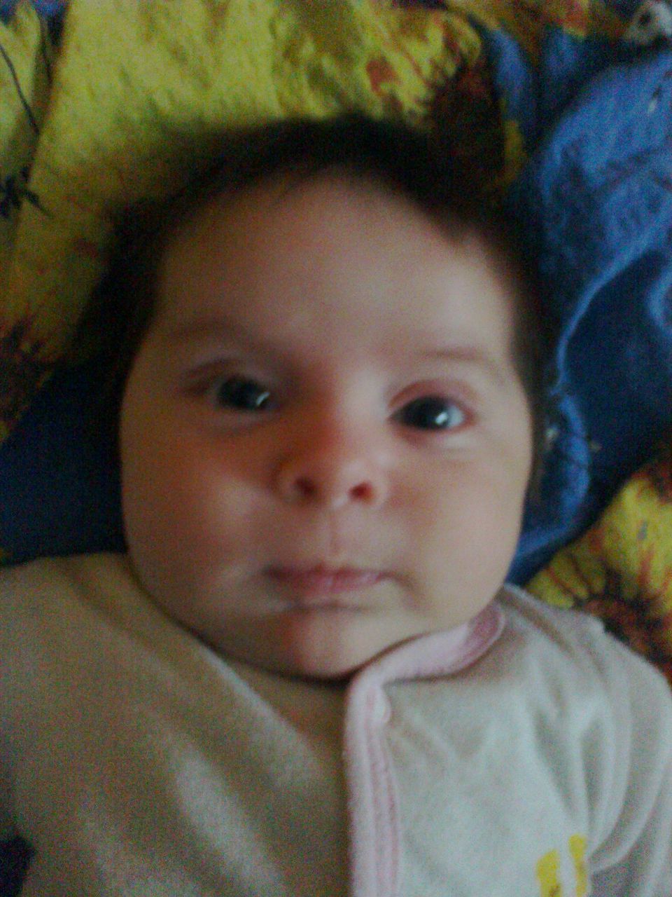 Карина Глазова Вячеславовна | Щекино