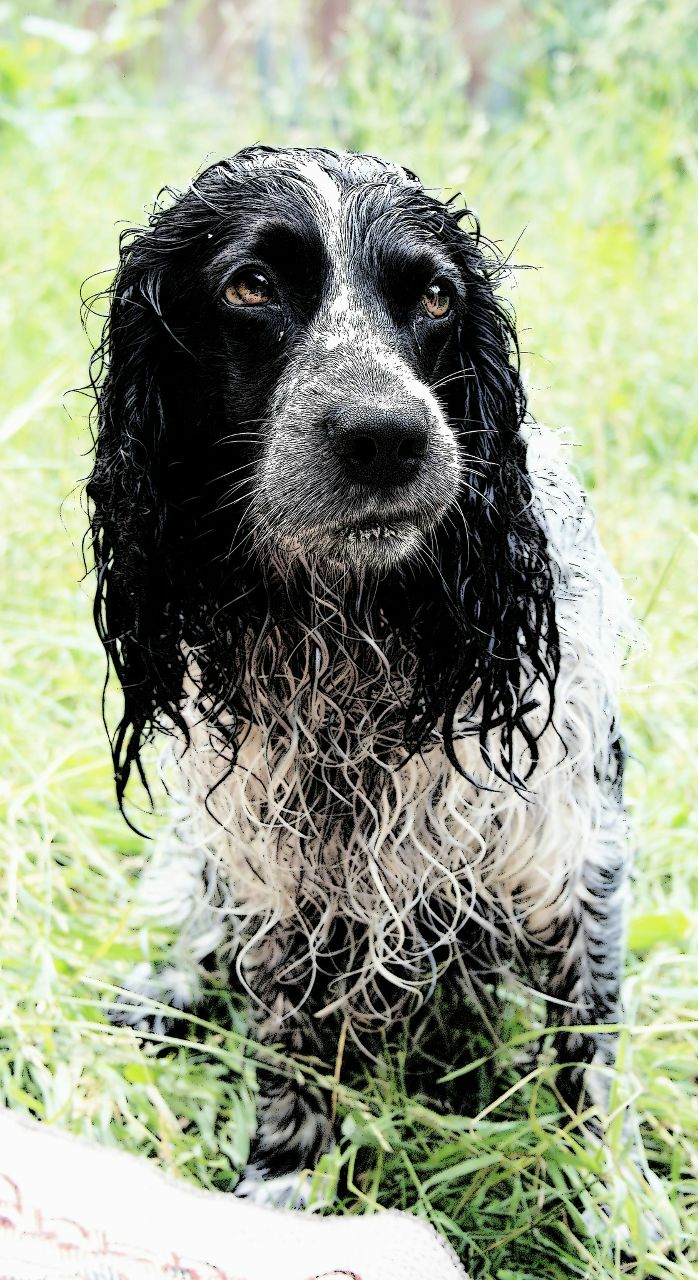 Лена Иванова | Санкт-Петербург