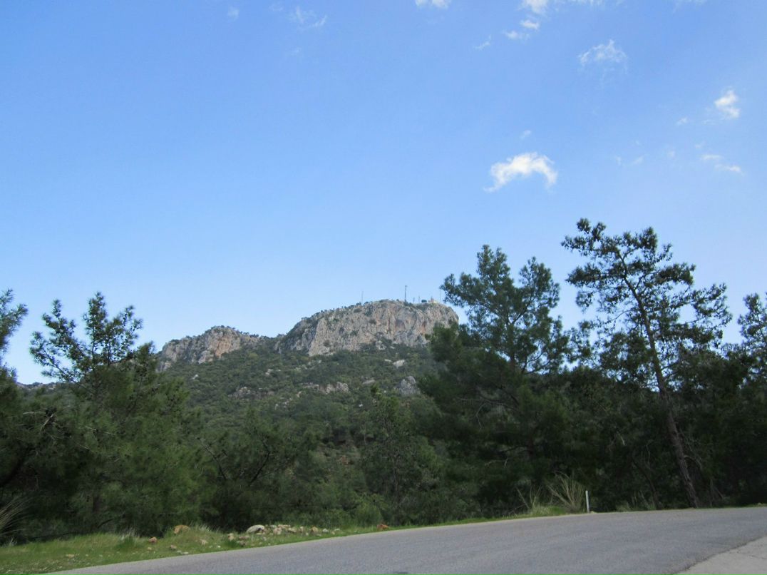 Александр Комаров | Иваново