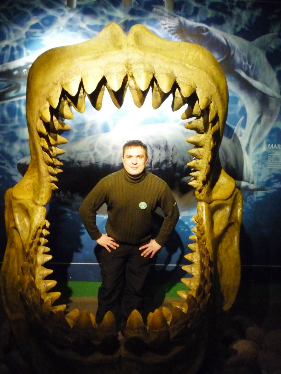 Роман Цапов | Петрозаводск