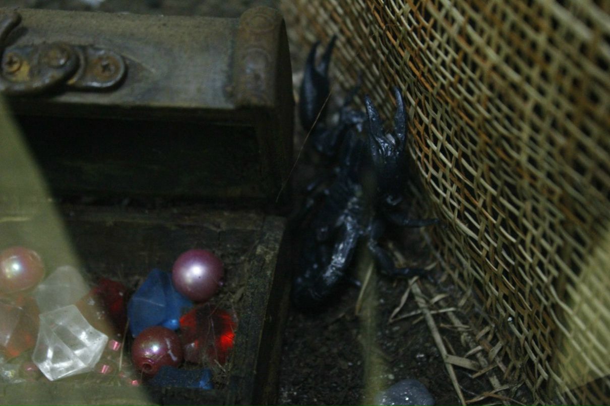 Александр Шаманаев | 