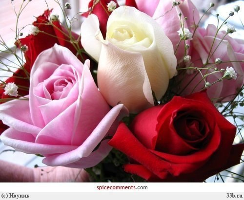 Елена Степанова | Воскресенск