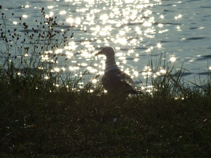 Наталья Морозова | Москва