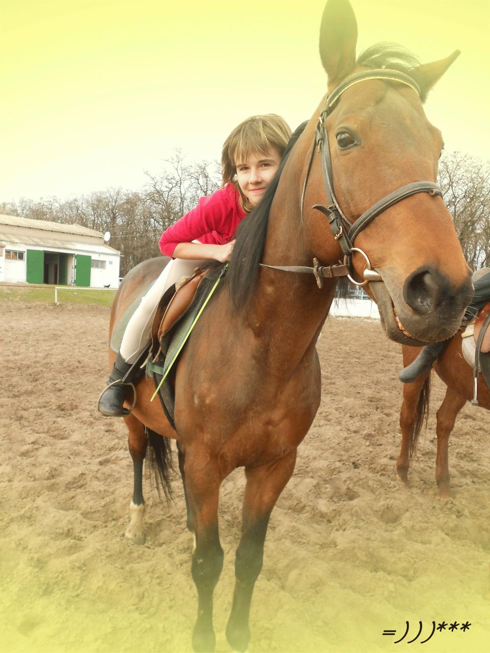 Анастасия Шаповал | Покровское