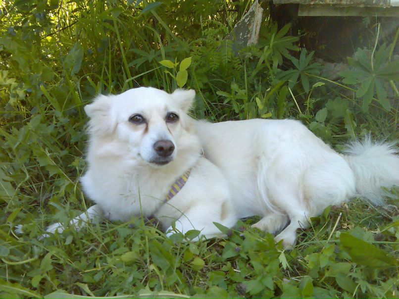 Сергей Уразбаев | 