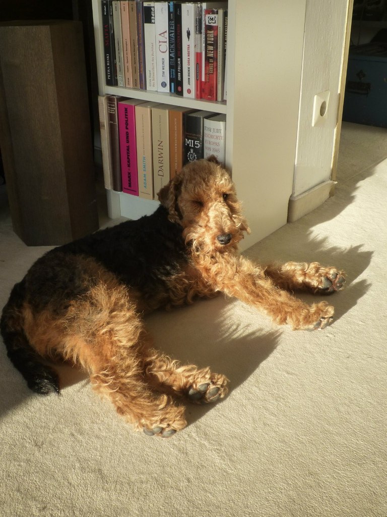 Мария Архипова | Neu-Ulm