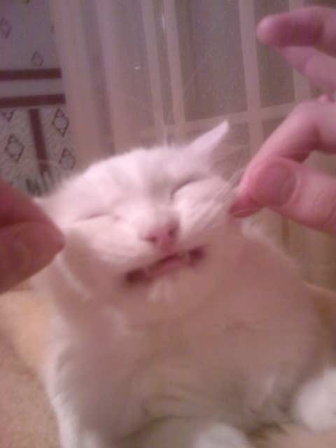 Катюшка Жевагина | 