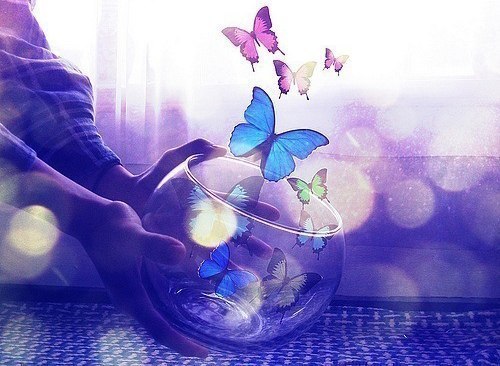 Юлия Наталуха | 