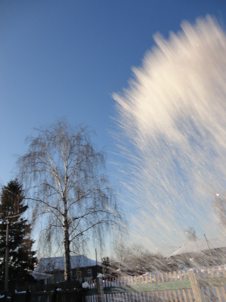 Елена Босенко | Ногинск