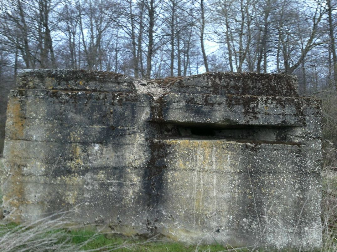 Олександр Карасьов | Луцк