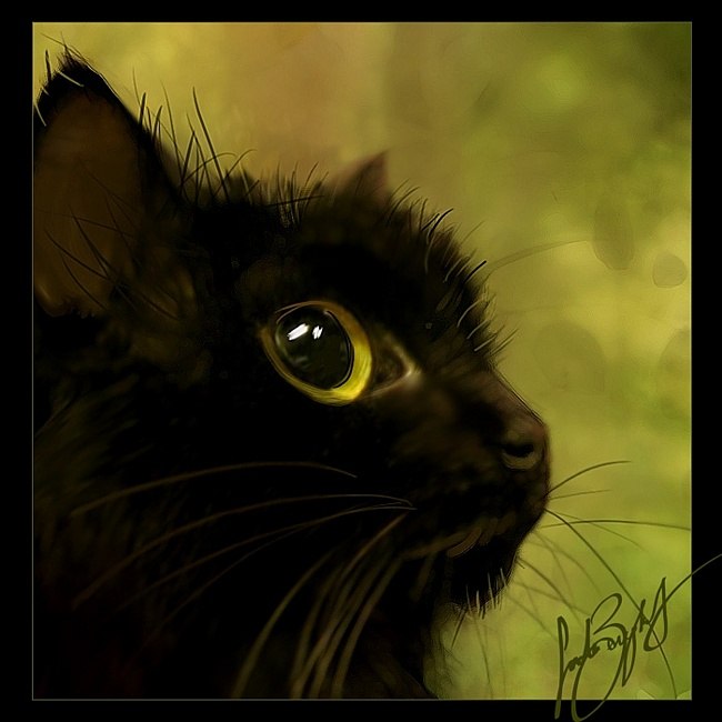 Татьяна Железова | Красноярск