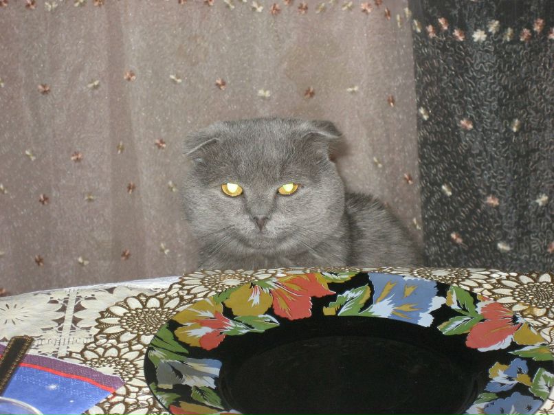 Оксана Козельская | Санкт-Петербург