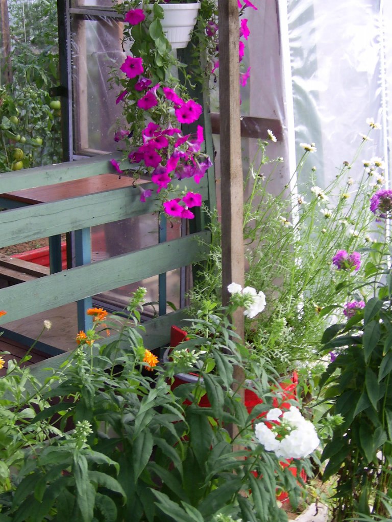 Елена Кувыркова (Ополченцева) | Волхов