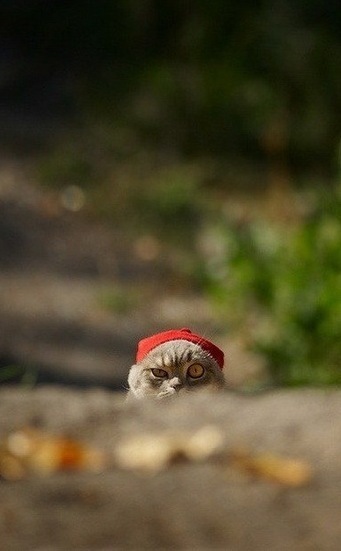 №103, Артём Валын, Харьков №103, Артём Валын, Харьков