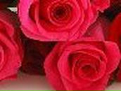 Дарья Беркутова | 