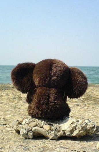 Дмитрий Андреевич | 