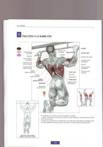 Олег Горшунов | Санкт-Петербург