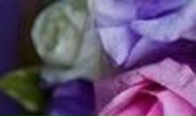 Алёна Чорная | 