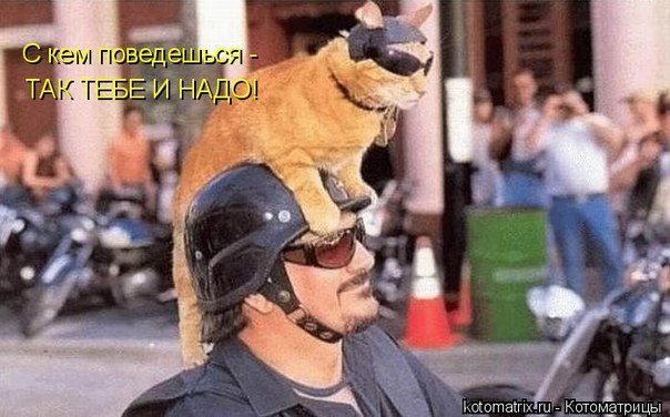 Саша Григорьев > < | Онега