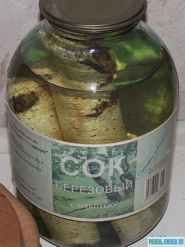 Мигель Алексеевич | 