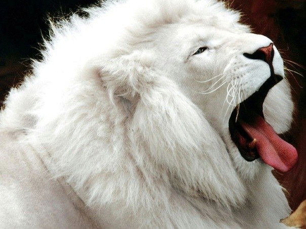 Азат Гатауллин | Казань