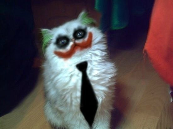 Жека Суконкин John | Ачинск