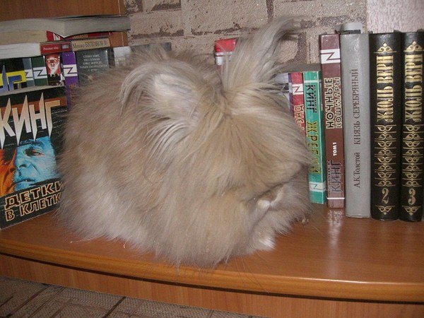 Анастасия Рощина | Хабаровск