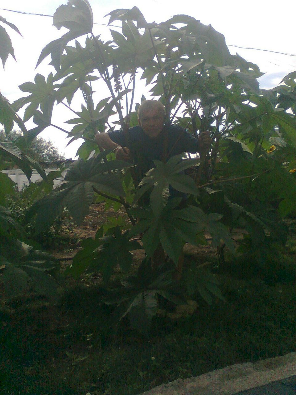 Сергей Потапов | Нижнекамск