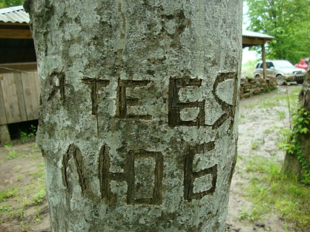 №127, Дмитрий Резниченко №127, Дмитрий Резниченко